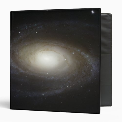 Spiral Galaxy M81 Binder