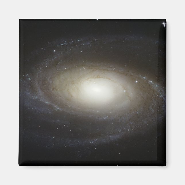 Spiral Galaxy M81 Magnet (Front)