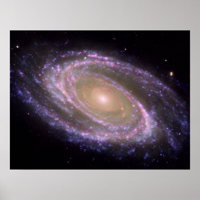 Spiral Galaxy M81 Poster (Front)