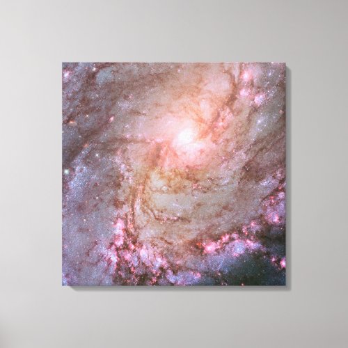 Spiral Galaxy M83 Ablaze With Star Formation Canvas Print