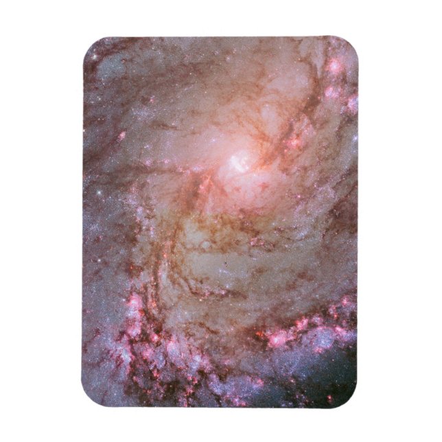Spiral Galaxy M83, Ablaze With Star Formation. Magnet (Vertical)