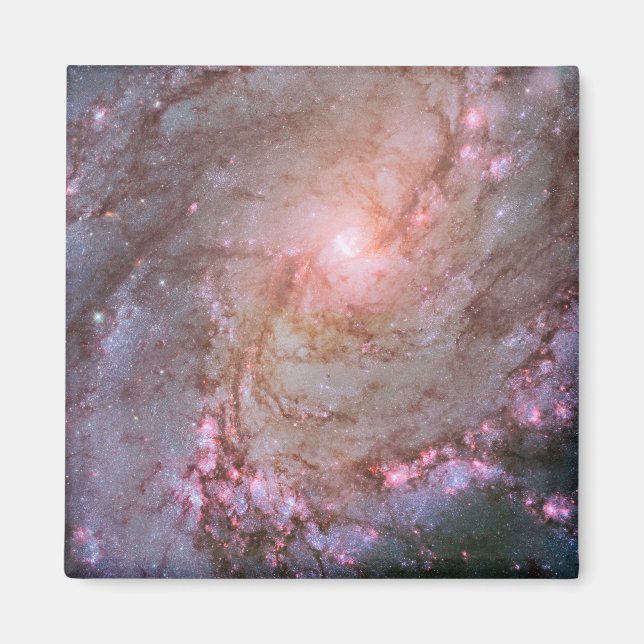 Spiral Galaxy M83, Ablaze With Star Formation. Magnet (Front)
