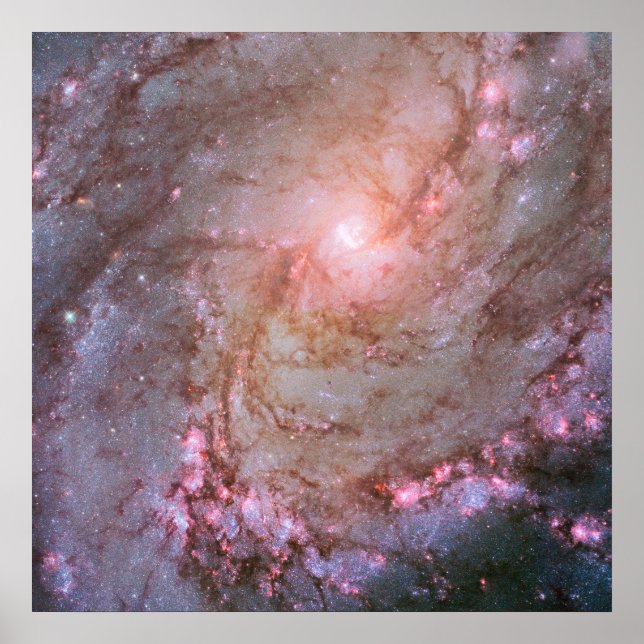 Spiral Galaxy M83, Ablaze With Star Formation. Poster (Front)