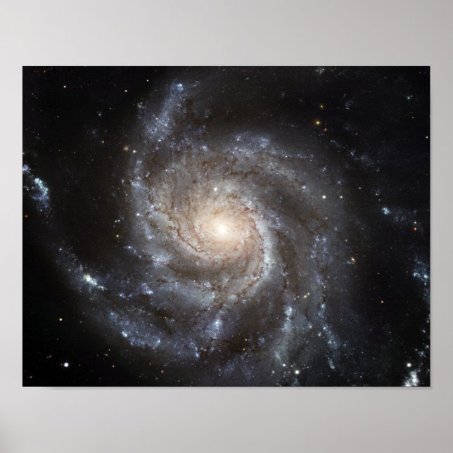 Spiral galaxy Messier 101 Poster (Front)