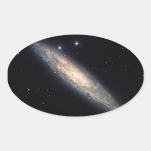 Spiral Galaxy - NGC 253 Oval Sticker