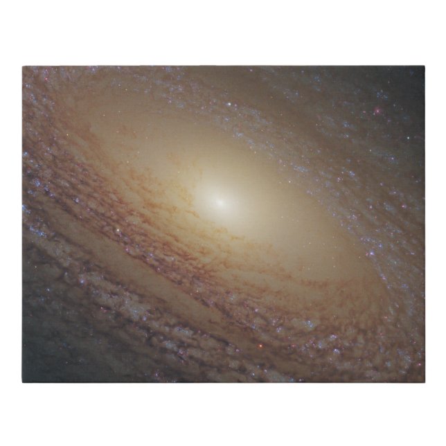 Spiral Galaxy Ngc 2841 Faux Canvas Print (Front)