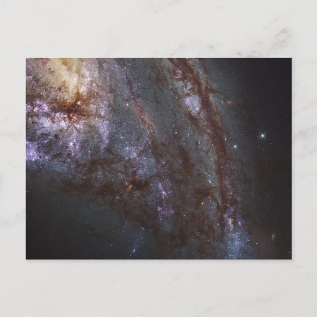 Spiral Galaxy Ngc 3627. Postcard (Front)