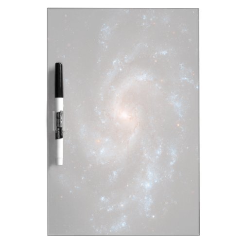 Spiral Galaxy Ngc 5584 Dry Erase Board