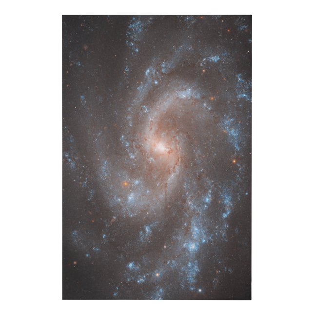 Spiral Galaxy Ngc 5584 Faux Canvas Print (Front)