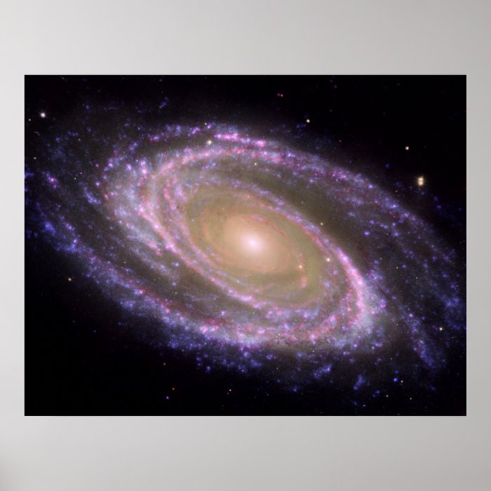 Spiral Galaxy Poster/Print   NASA image