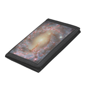 Spiral Galaxy Wallet