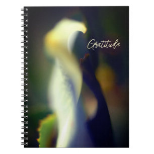 Spiral Gratitude Journal
