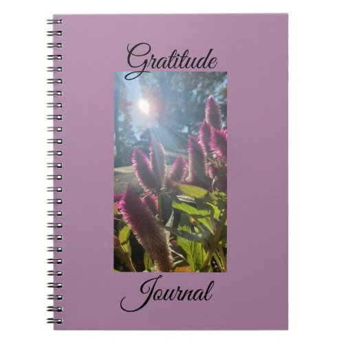 Spiral Gratitude NotebookJournal Notebook