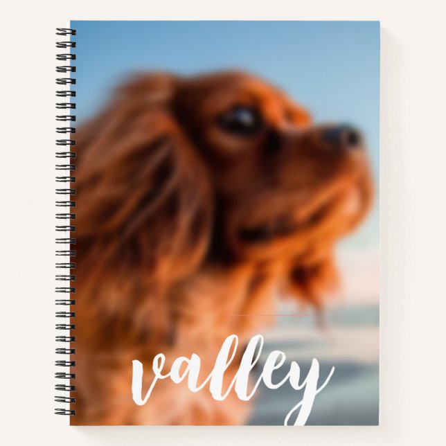 Spiral Notebook (Front)