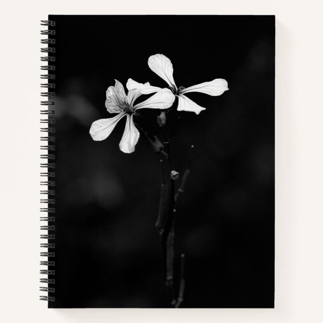 Spiral Notebook (Front)