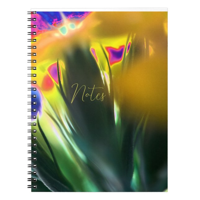 Spiral Notebook (Front)