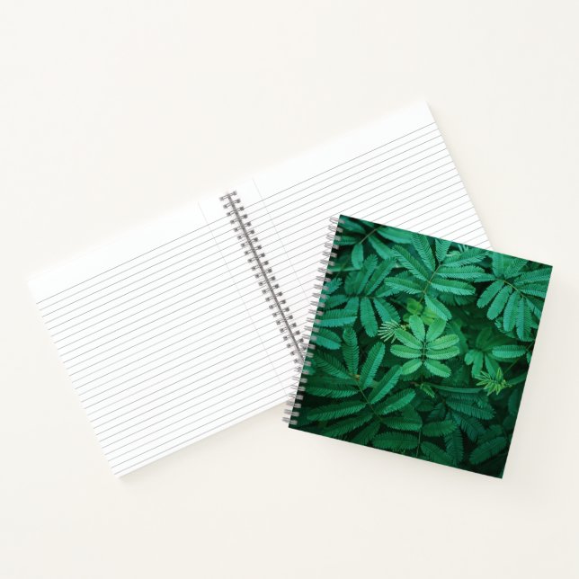 Spiral Notebook (Inside)