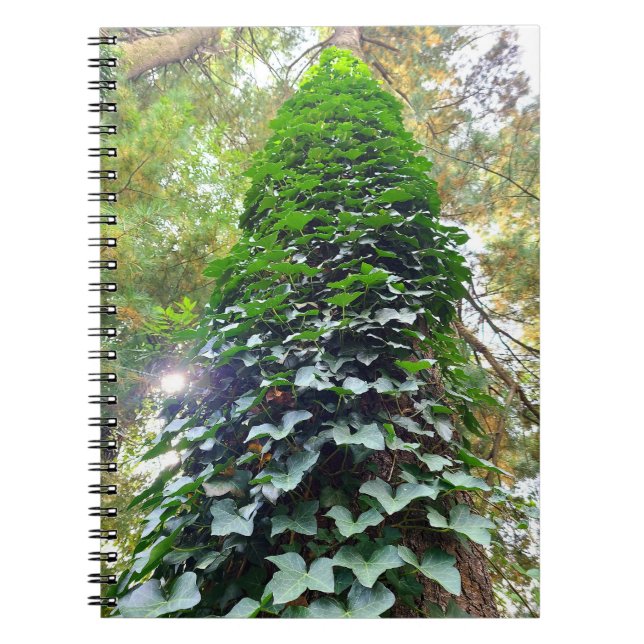 Spiral Notebook (Front)