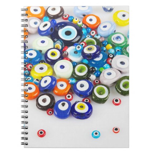 spiral notebook  80 lined pages