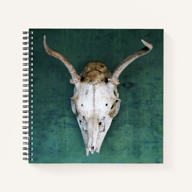 Spiral Notebook Antelope Skull Design (Front)