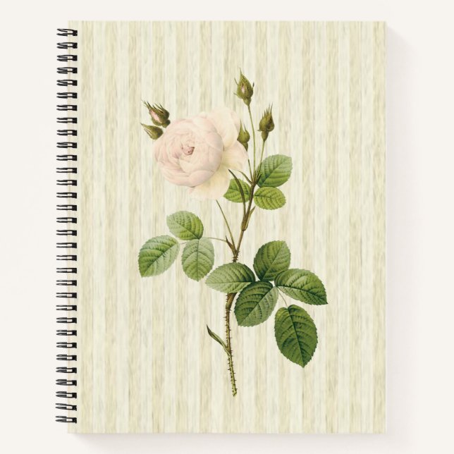 Spiral Notebook Beige Rose Floral (Front)
