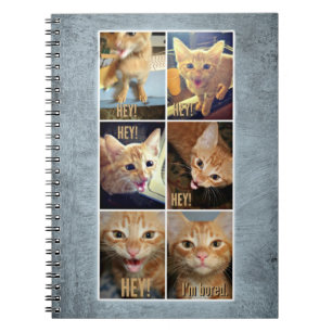 Spiral notebook for awesome things