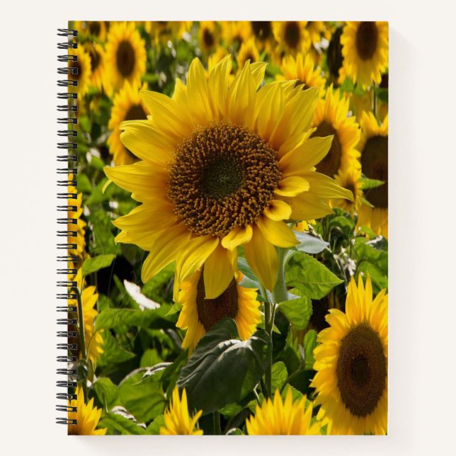 Spiral Notebook Sunflower (Front)