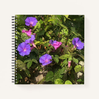 Spiral Notebook Watercolor Morning Glories Design