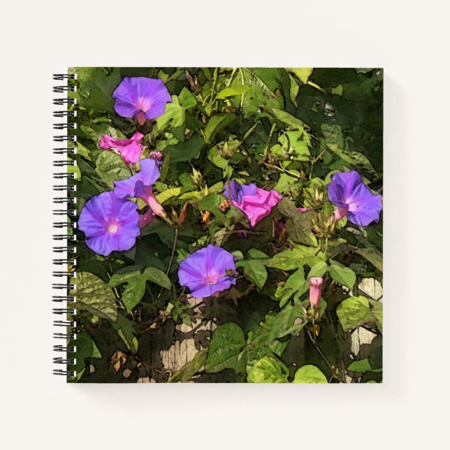 Spiral Notebook Watercolor Morning Glories Design (Front)