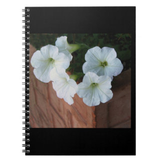 Spiral notebook with lovely white Petunias