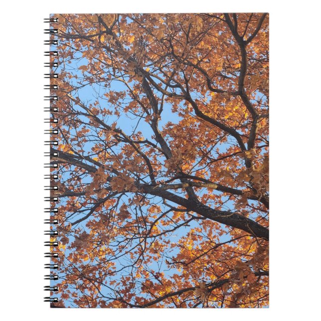Spiral Photo Notebook (Front)