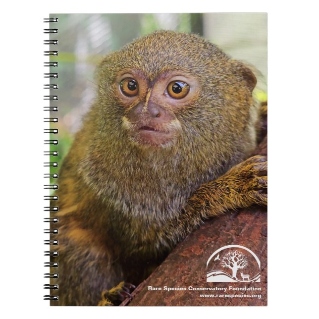 Spiral Photo Notebook (Front)
