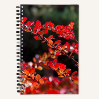 Spiral Photo Notebook