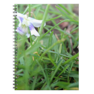 Spiral Photo Notebook