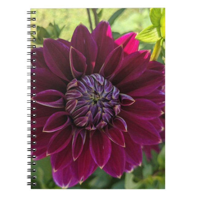 Spiral Photo Notebook (Front)