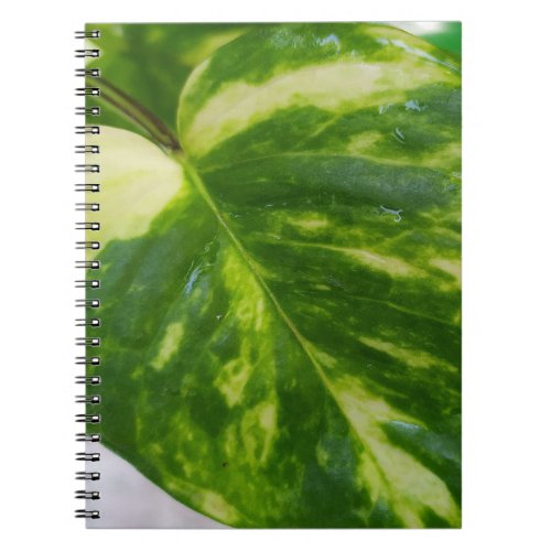 Spiral Photo Notebook 80 Pages BW