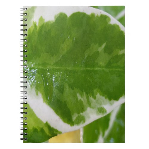 Spiral Photo Notebook with 80 Pages BW