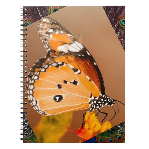 Spiral Photo Notebook with beautiful butterfly 