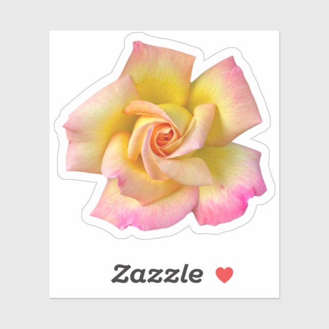 Spiral Pink Yellow Peace Rose Sticker (Sheet)