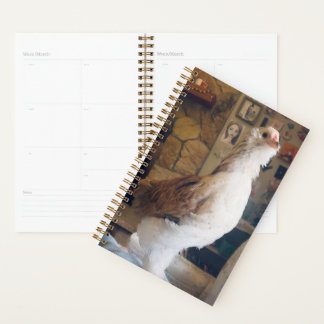 Spiral Planner Chicken on the Fireplace