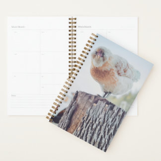 Spiral Planner - Its a Stumped Day