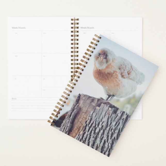 Spiral Planner - Its a Stumped Day (Display)