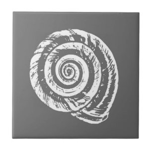 Spiral Seashell, Gray / Grey and White Ceramic Tile