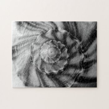 Spiral Shell  Black And White  Jigsaw Puzzle by artinphotography at Zazzle