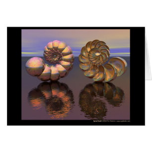 Spiral Shell Cards