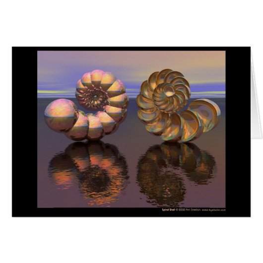 Spiral Shell Cards (Front Horizontal)