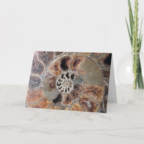 Spiral Shell Fossil Blank Greeting Card