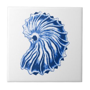 Spiral Shell, Indigo Blue and White Ceramic Tile