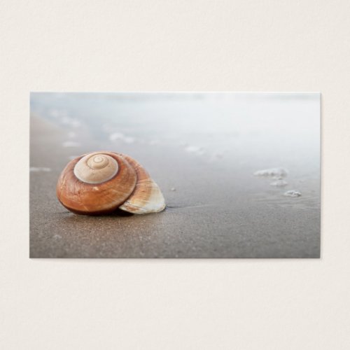 Spiral Shell On Sandy Beach Near Sea Business Cards
