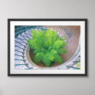 Spiral Staircase with Fern Framed Art